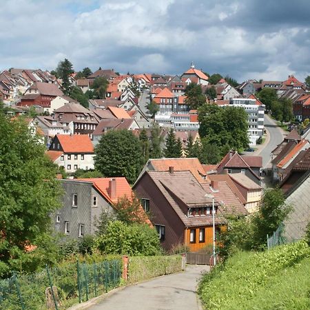 Ferienwohnung Wiesenblick Mit Terrasse Im Landhaus Fischer Санкт Андреасберг Екстериор снимка